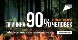 Лесные пожары – одна из самых серьезных угроз для природы и человека. Каждый год тысячи гектаров леса сгорают из-за небрежности людей.