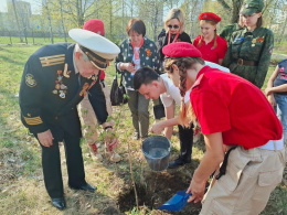 21 апреля в нашем городе прошла Международная акция "Сад Памяти".